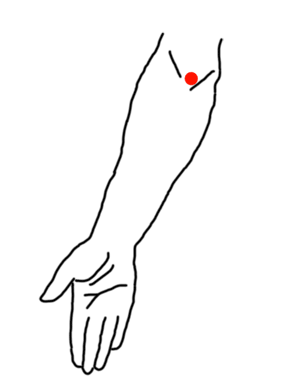kote pressure point inner arm