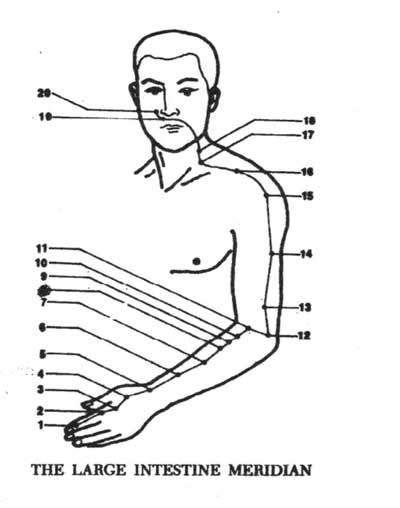 large intestine meridian pressure point chart