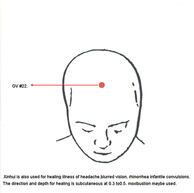 Tendo Pressure Point - top of head
